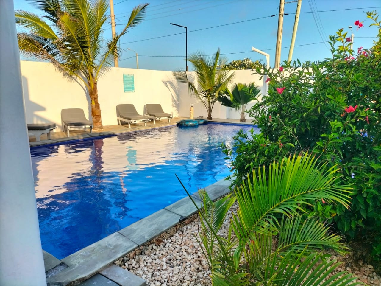 Arica Palm Hotel Gallery Image